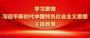 日女美女操B视频学习贯彻习近平新时代中国特色社会主义思想主题教育_fororder_ad-371X160(2)